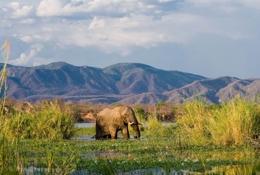 Lochinvar National Park, Zambia